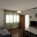 Skorin Daire Lumbarda